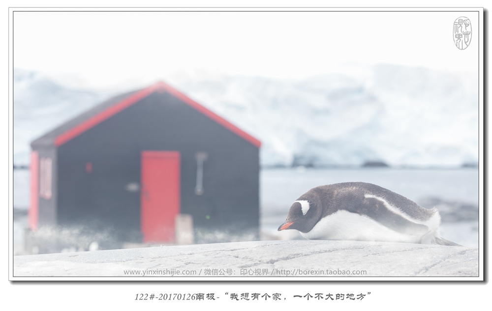 122#-20170126南极-“我想有个家，一个不大的地方”