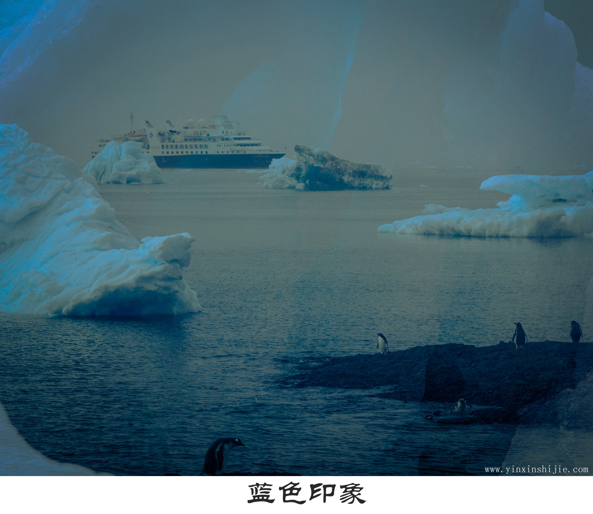 蓝色印象-2017南极企鹅