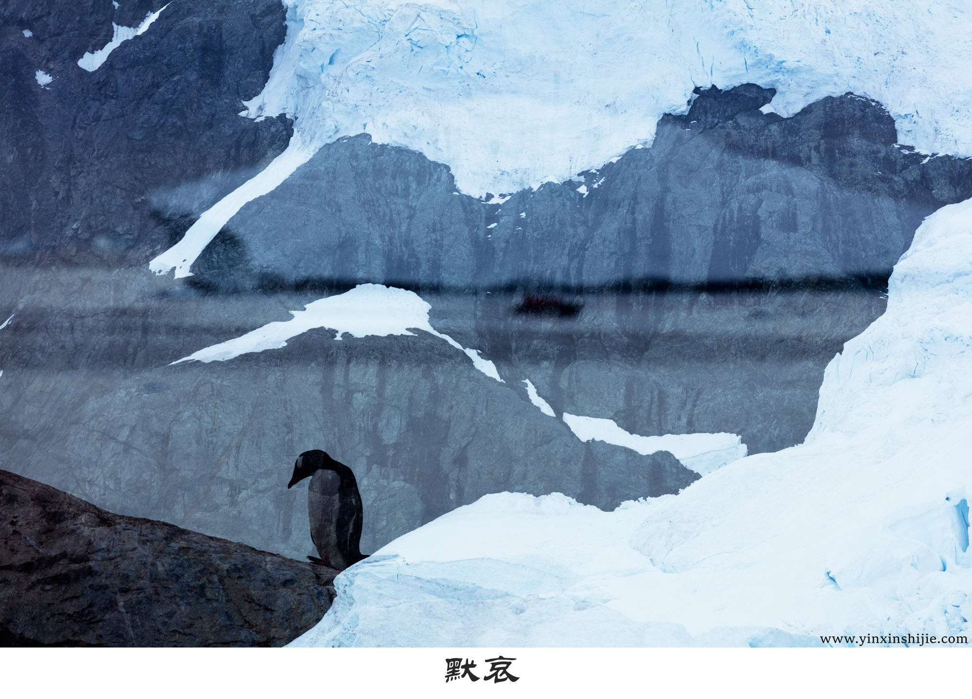 默哀--2017南极企鹅