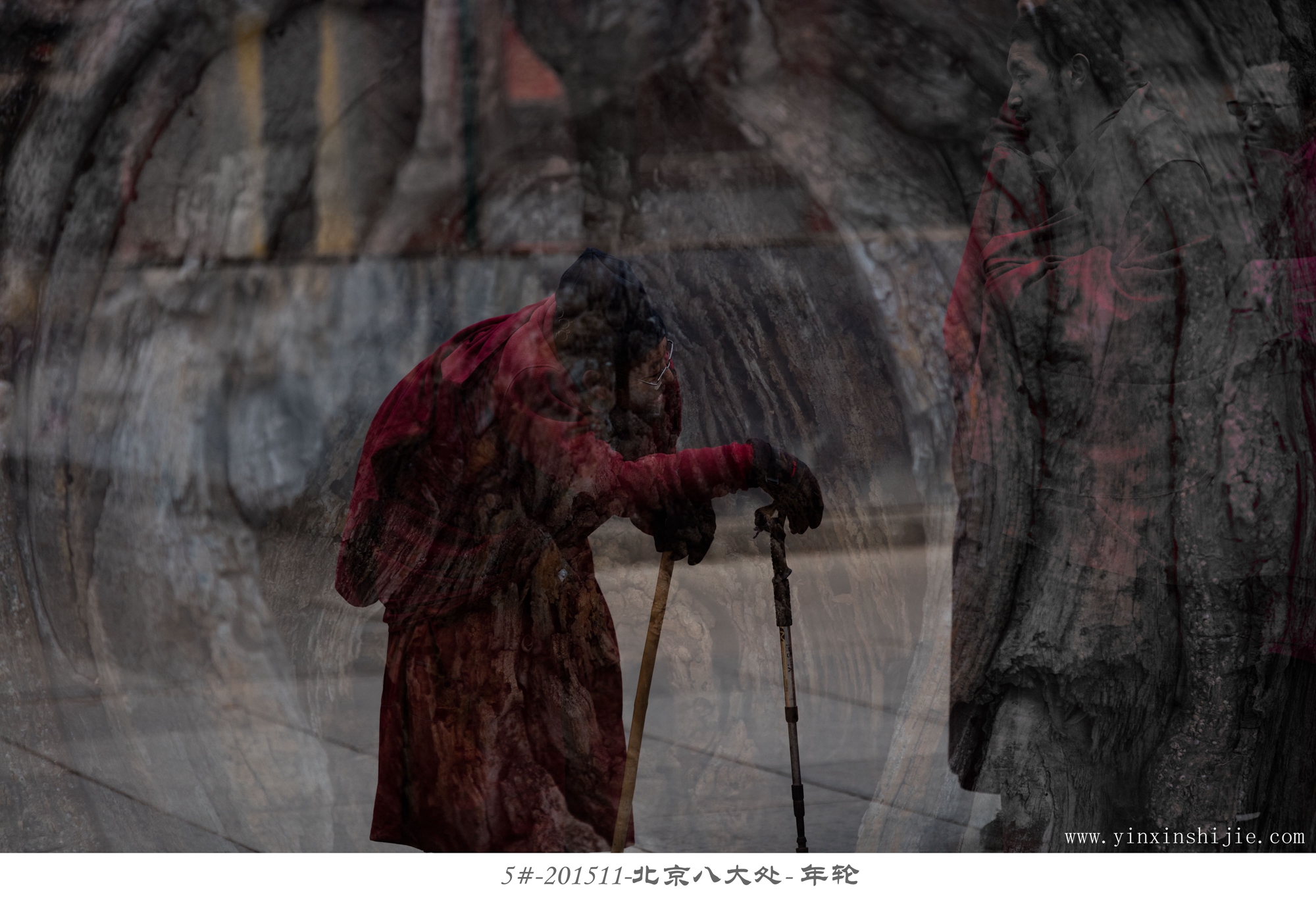 5#-201511北京八大处-年轮