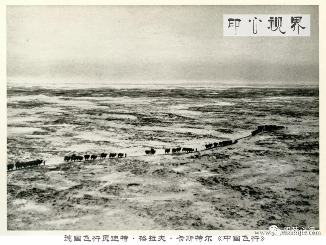 1936年前后宁夏草原上的驼队--德国飞行员航拍之《中国飞行》