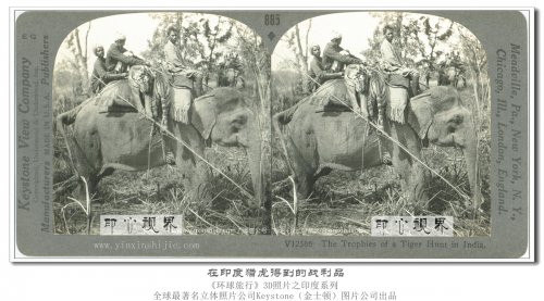 在印度猎虎得到的战利品--1936年3D版《环球旅行》立体照片