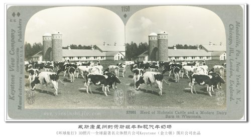 【立体环球1936】威斯康星州的荷斯坦牛和现代牛奶场